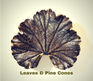 Leaves & Pine Cones