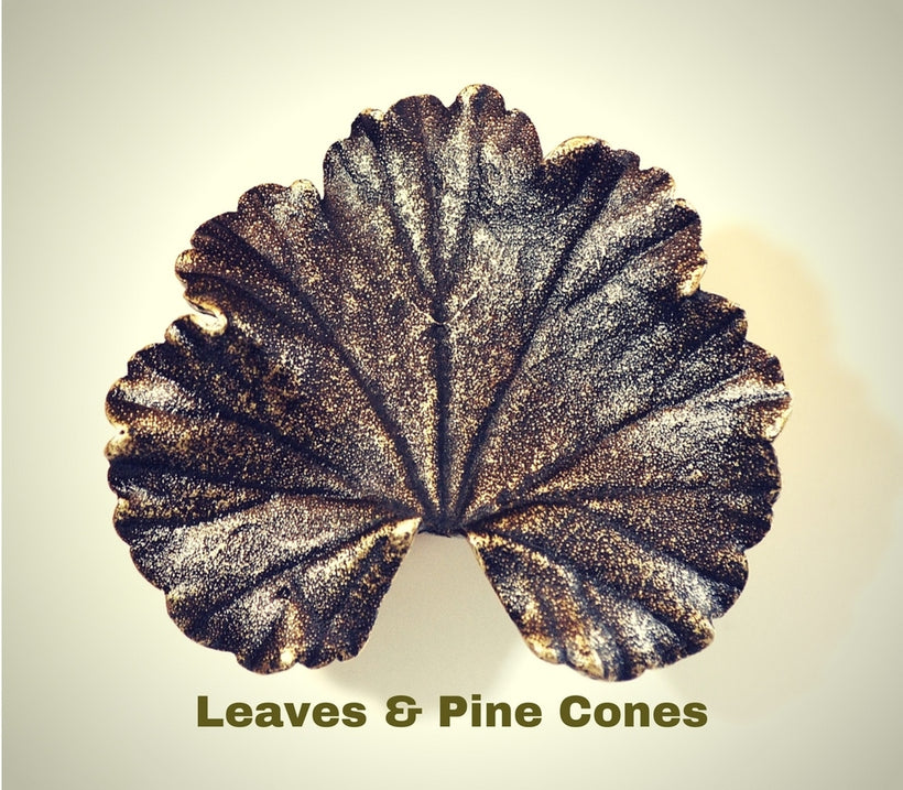 Leaves &amp; Pine Cones