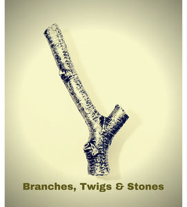 Branch, Twig & Bark