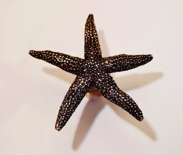 Starfish Knob (Small)
