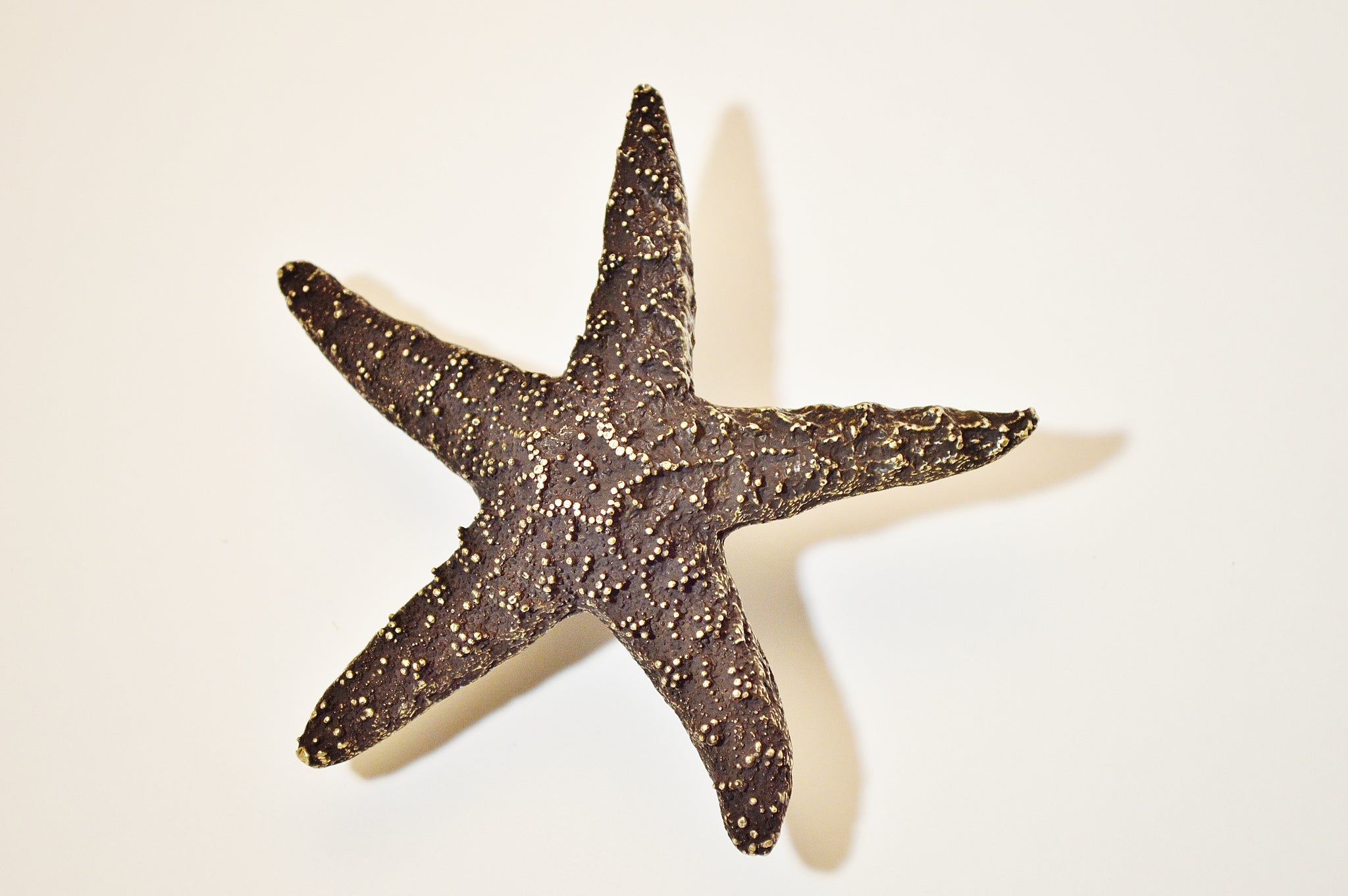 Starfish Knob (Large)