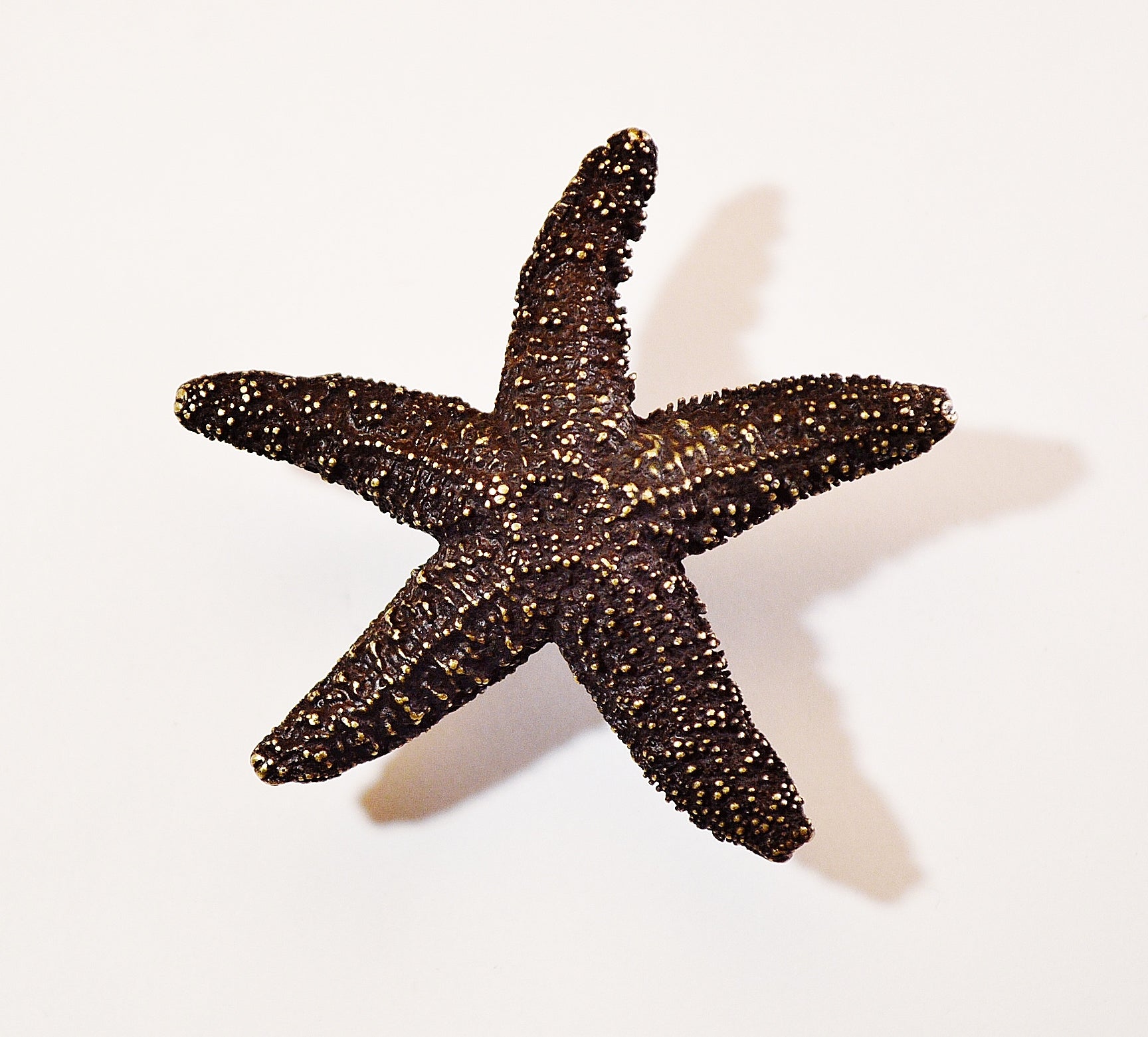 Mini Starfish Knob