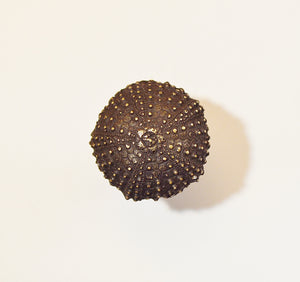 Mini Urchin Knob