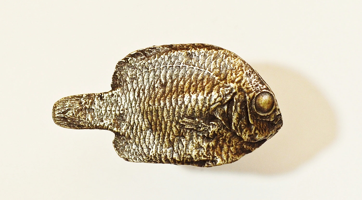 Mini Fish Knob (Right) – Modern Objects