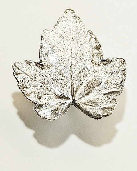 Silver Maple Knob