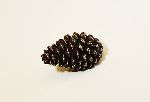 Mini Pine Cone Knob